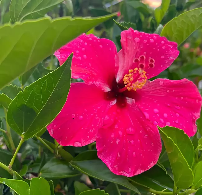 Vergebung & Vergebungsarbeit in 73547 Lorch